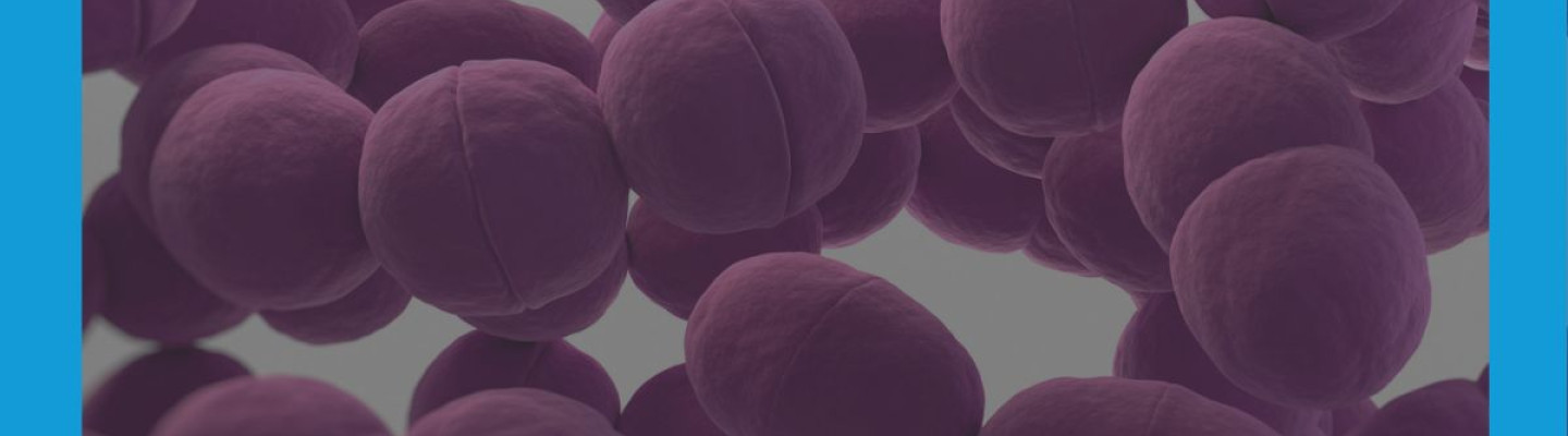 Diagnostyka Paciorkowca Grupy A â Strep A